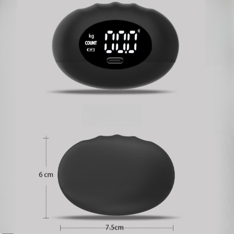 Эргономичный цифровой динамоме – обзор и цена Home Gym Rig